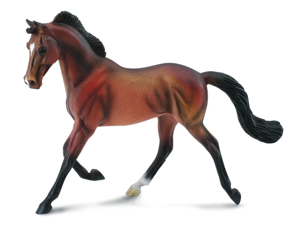 eugenetoyandhobby22396087