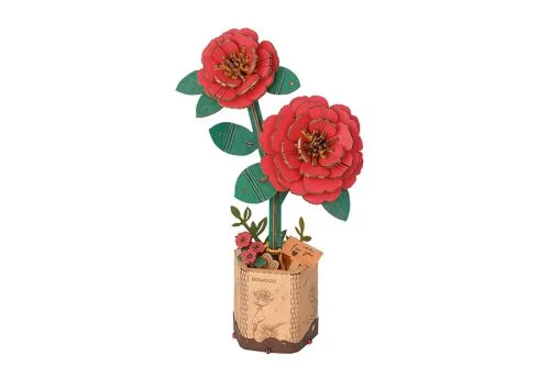 eugenetoyandhobby32445003